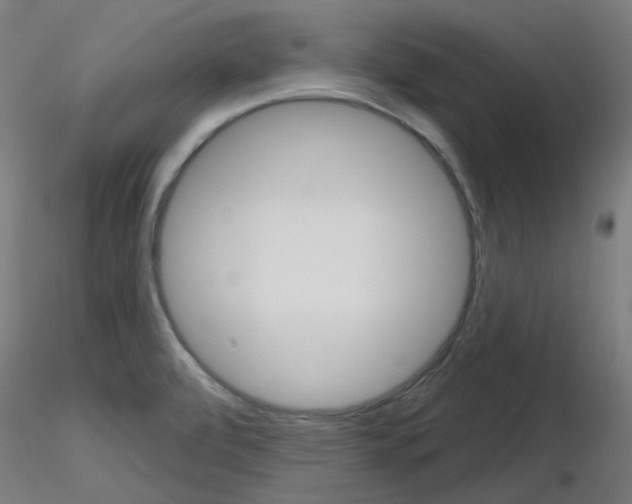 X0000116851472200912220931