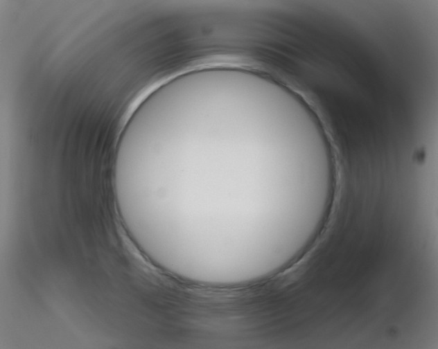 X0000116851473200912220931