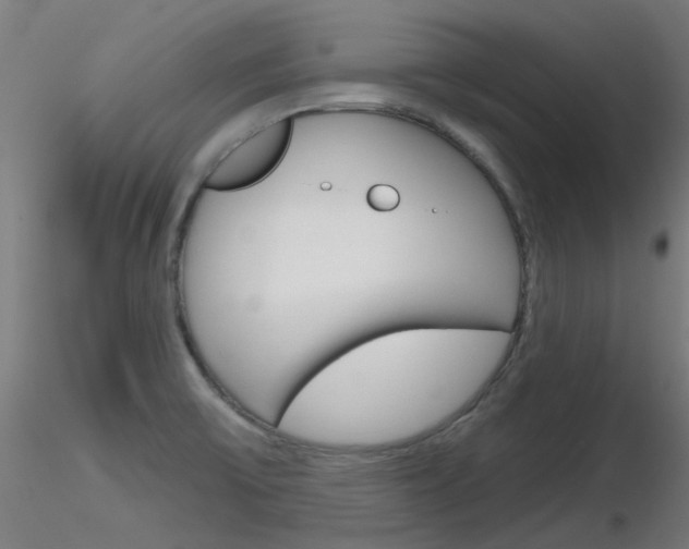 X0000116851475200912220931