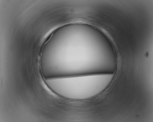 X0000116851476200912220931