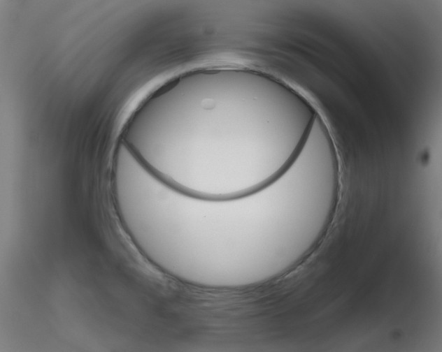 X0000116851477200912220931