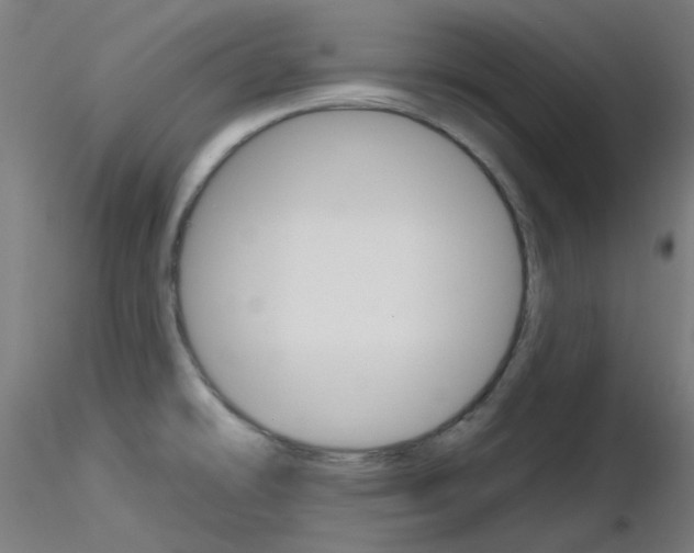 X0000116851478200912220931