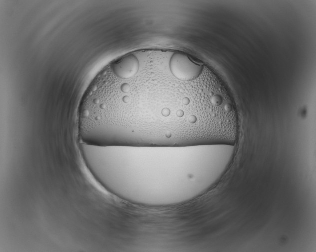 X0000116851479200912220931