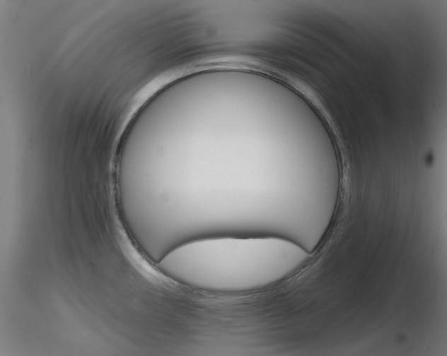 X0000116851482200912220931