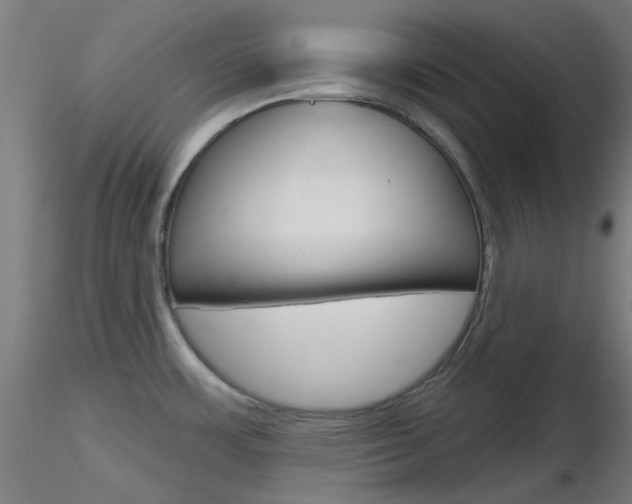 X0000116851483200912220931