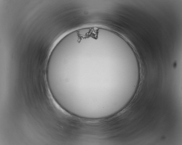 X0000116851484200912220931