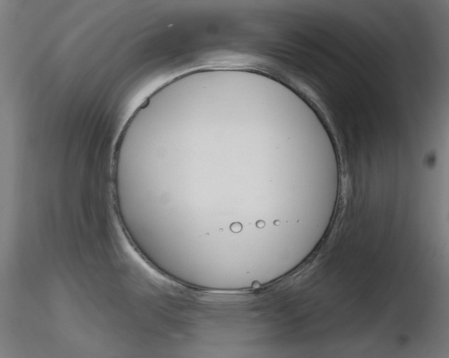 X0000116851487200912220931