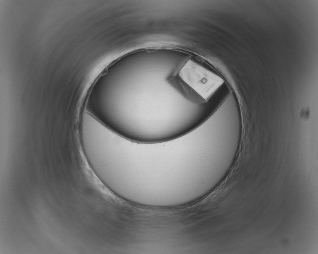 X0000116851488200912220931