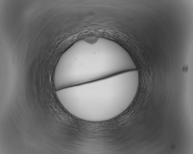 X0000116851489200912220930
