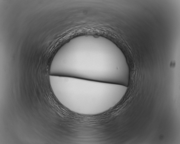 X0000116851490200912220930