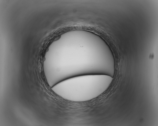 X0000116851493200912220931