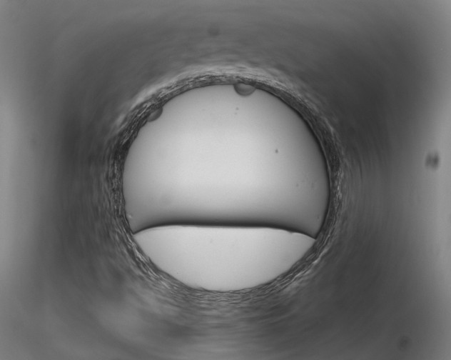 X0000116851494200912220931