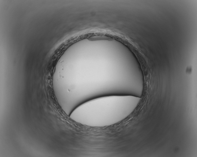 X0000116851495200912220931