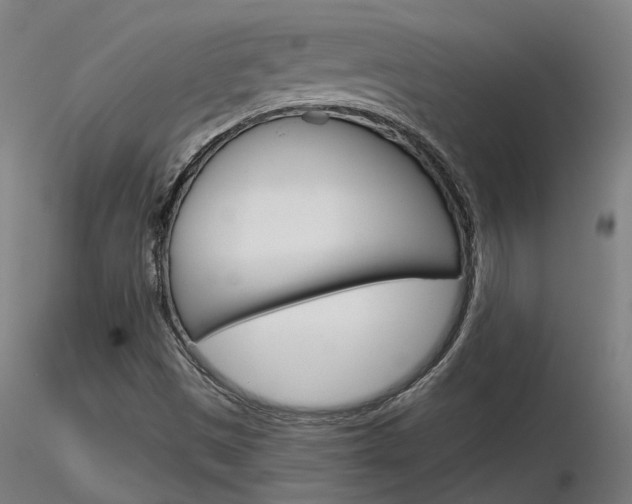 X0000116851497200912220931