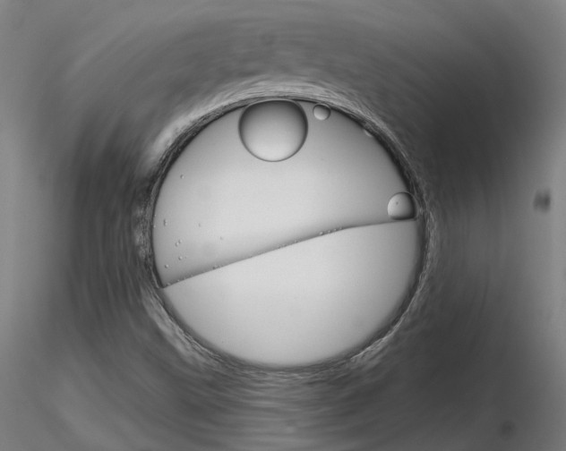 X0000116851499200912220931