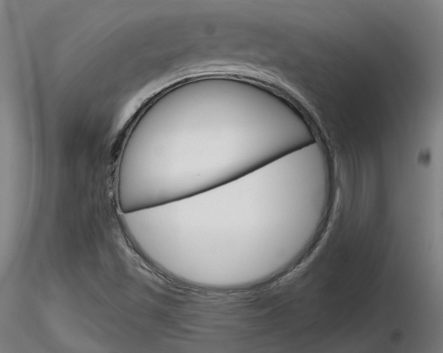X0000116851501200912220931