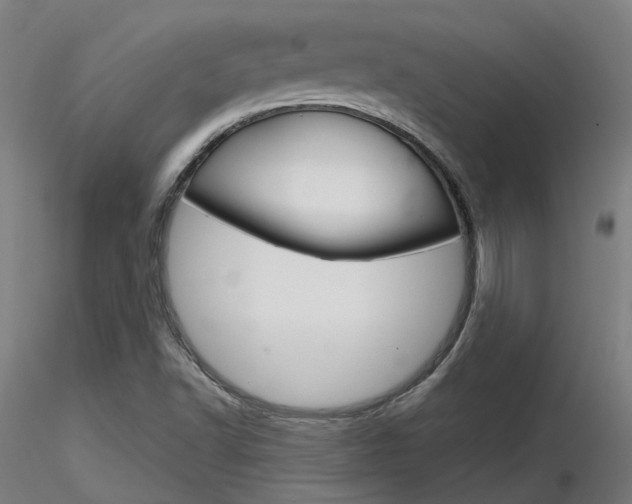 X0000116851502200912220931
