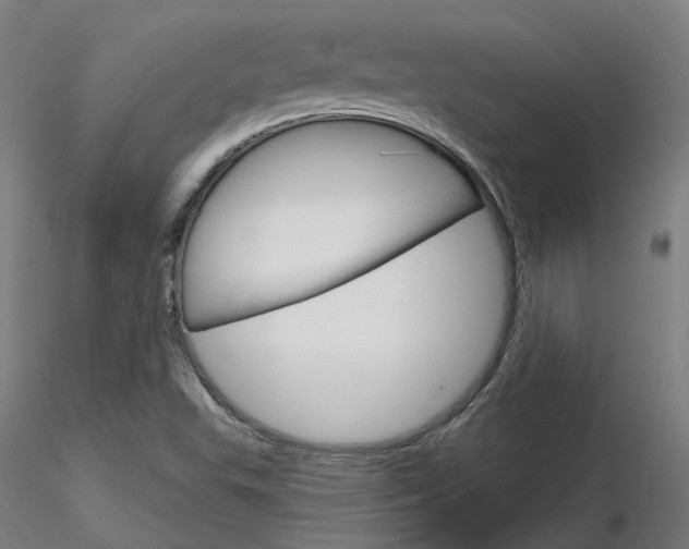 X0000116851503200912220931
