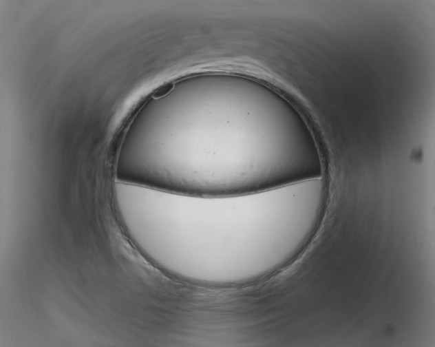 X0000116851506200912220931