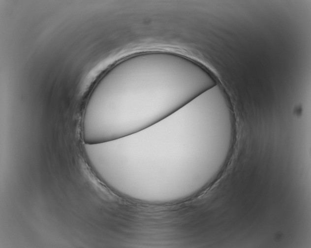 X0000116851507200912220931