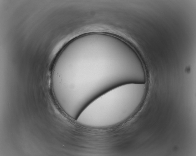 X0000116851509200912220931