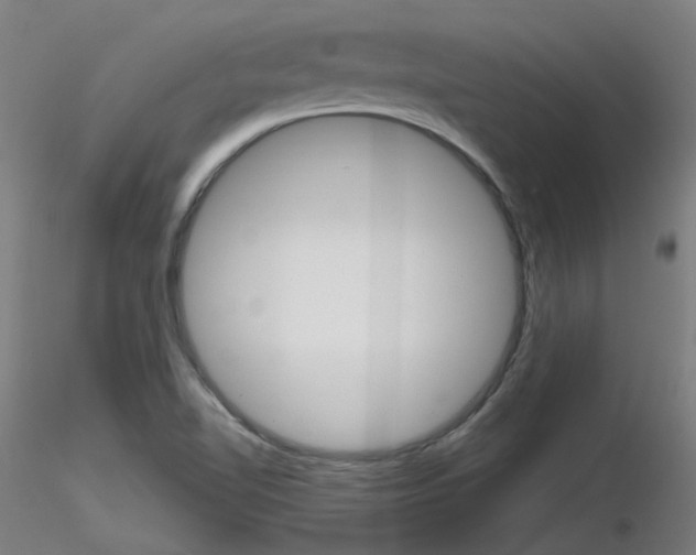 X0000116851510200912220931