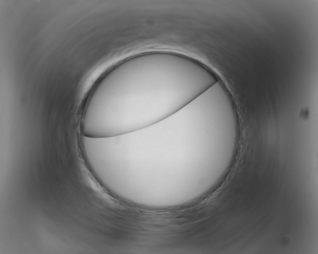 X0000116851511200912220931