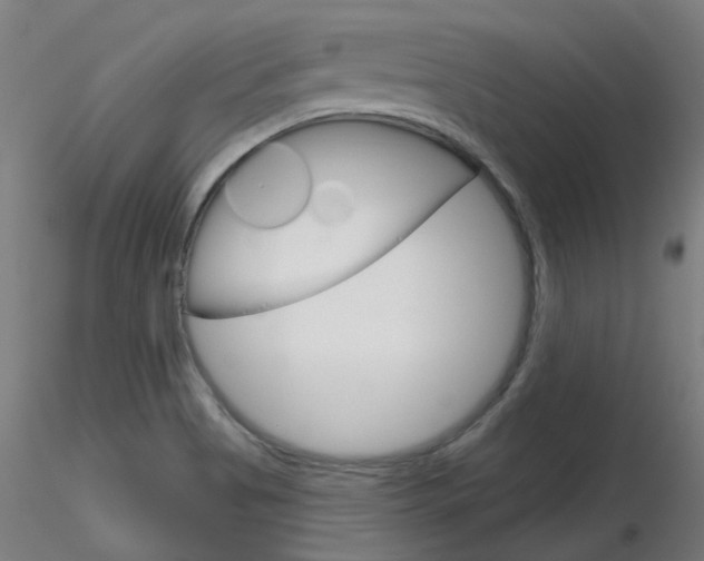 X0000116851513200912220931