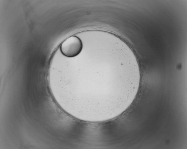 X0000116851514200912220931