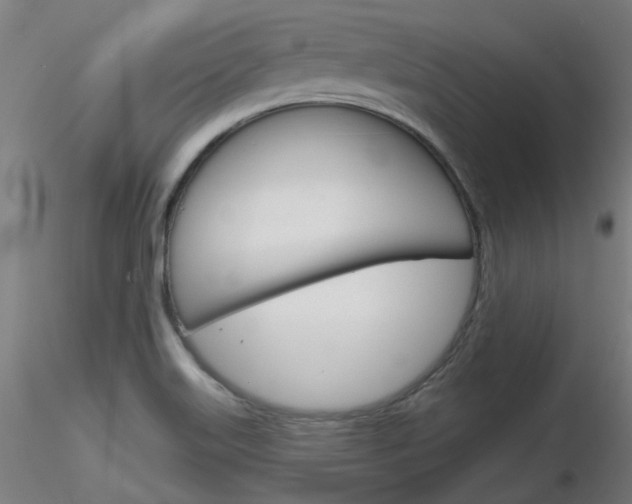 X0000116851515200912220931