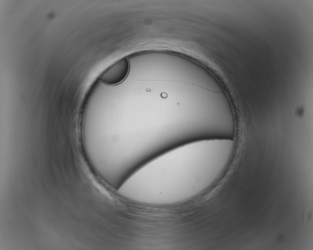 X0000116851517200912220931