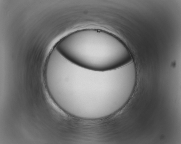 X0000116851518200912220931