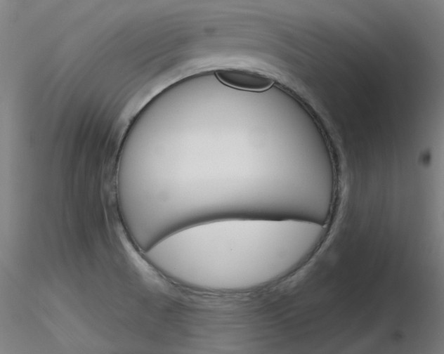 X0000116851521200912220931