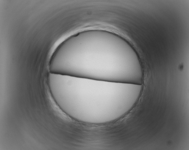 X0000116851522200912220931