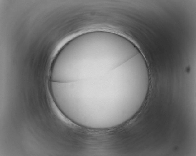 X0000116851523200912220931