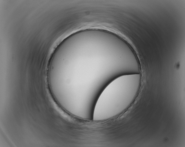 X0000116851525200912220931