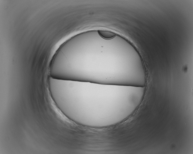 X0000116851526200912220931