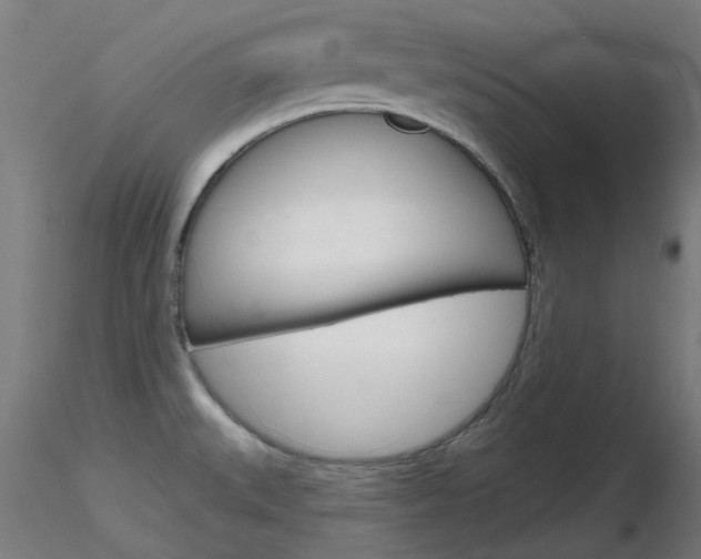 X0000116851527200912220931