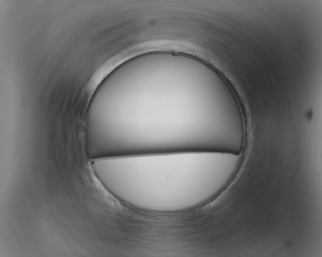 X0000116851529200912220931