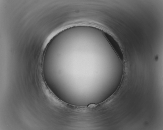 X0000116851530200912220931