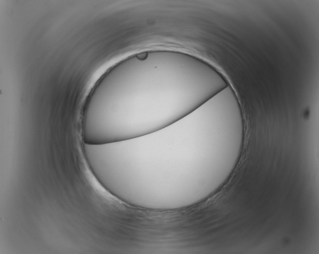 X0000116851531200912220931