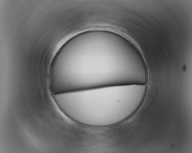 X0000116851533200912220931