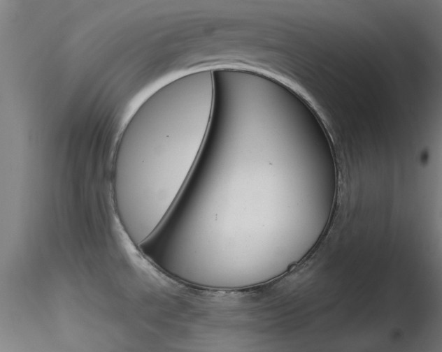X0000116851534200912220931
