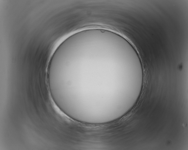 X0000116851535200912220931