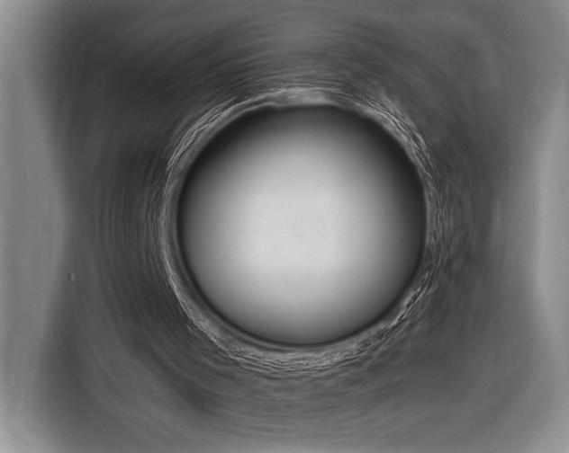 X0000116850001200912221128