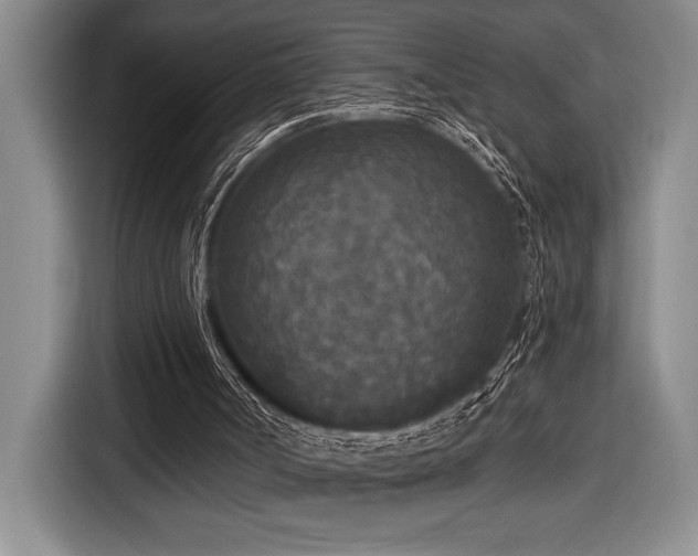 X0000116850002200912221128