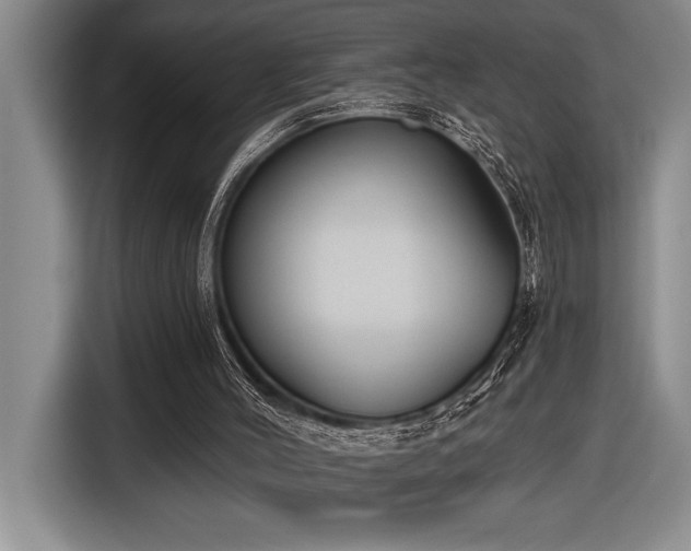 X0000116850004200912221128