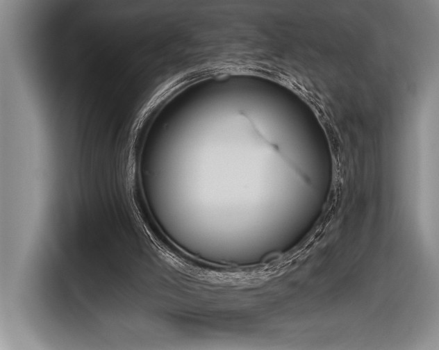 X0000116850005200912221128