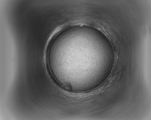 X0000116850006200912221128