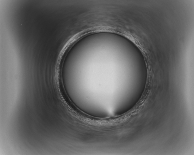 X0000116850007200912221128